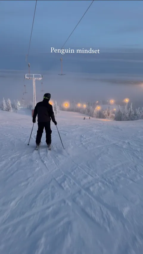 A skier on a floodlit piste among snow-covered trees at dusk, Ruka, Lapland, Finland
