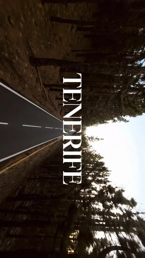 A straight road running through tall pine forest, Tenerife